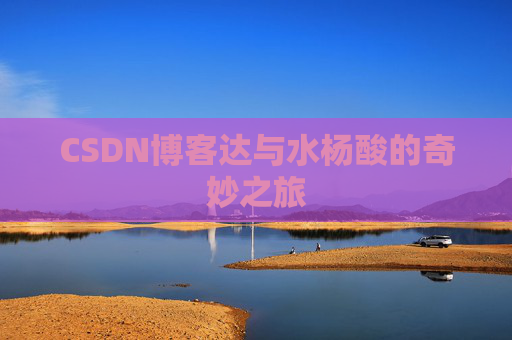 CSDN博客达与水杨酸的奇妙之旅